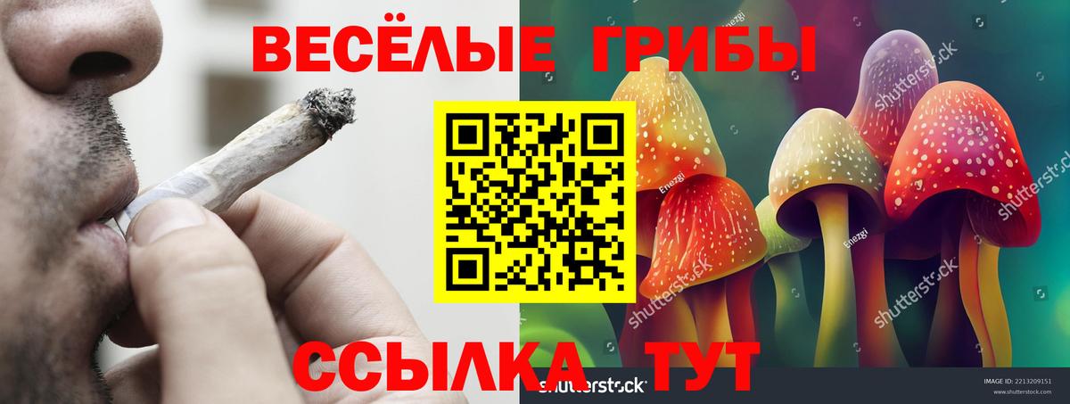 Псков  Галлюциногенные грибы мицелий  Вход с VPN 